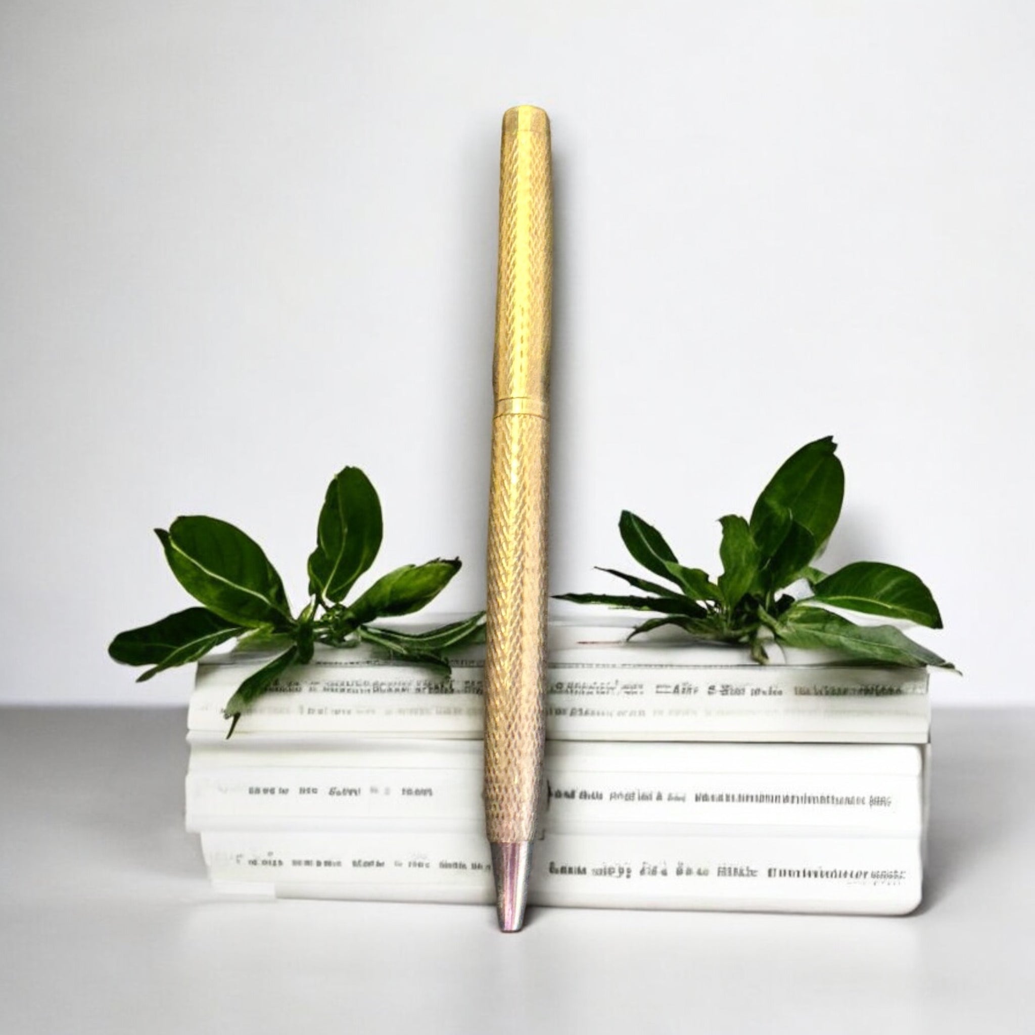 Silver Pen With Plain