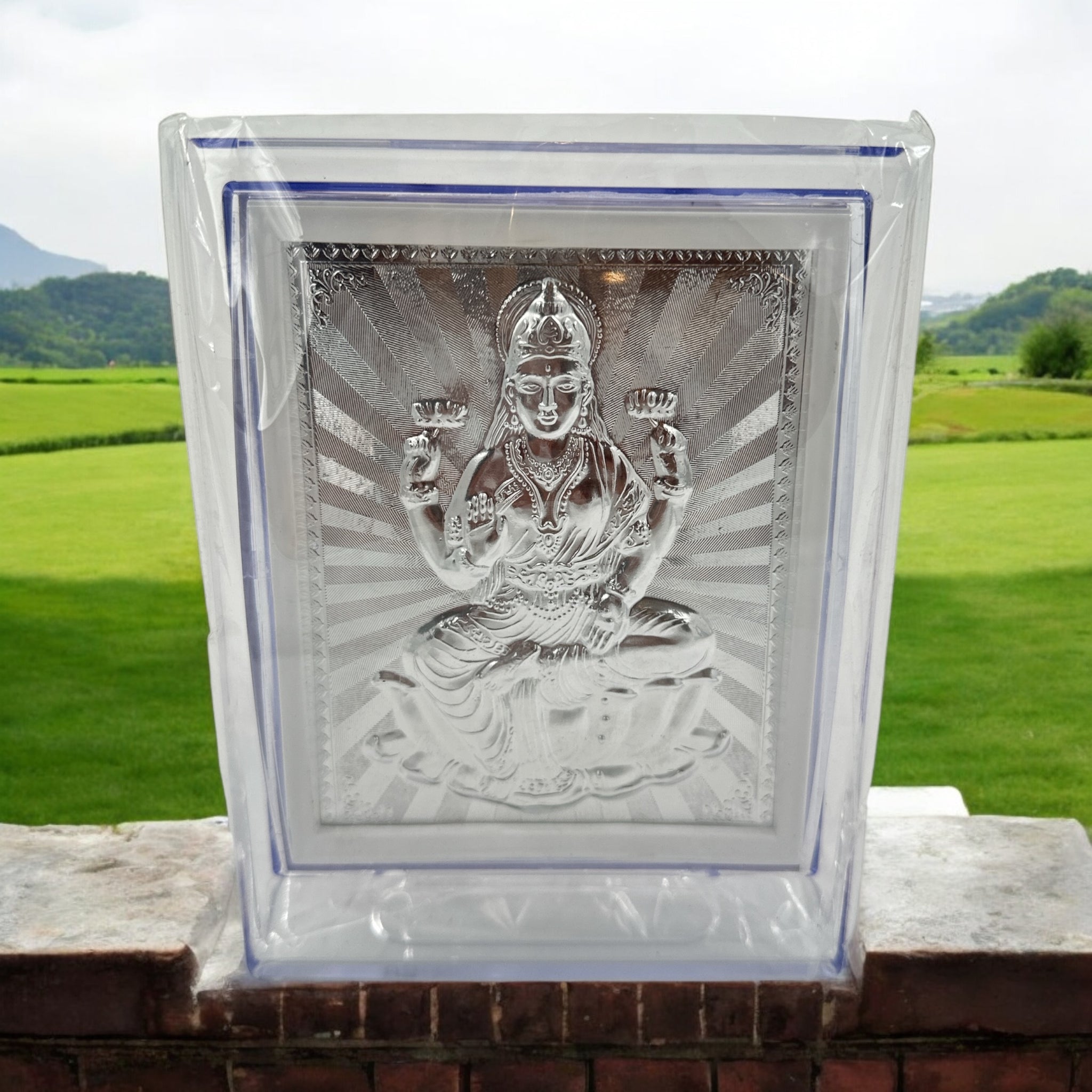 Laxmi Silver Frame