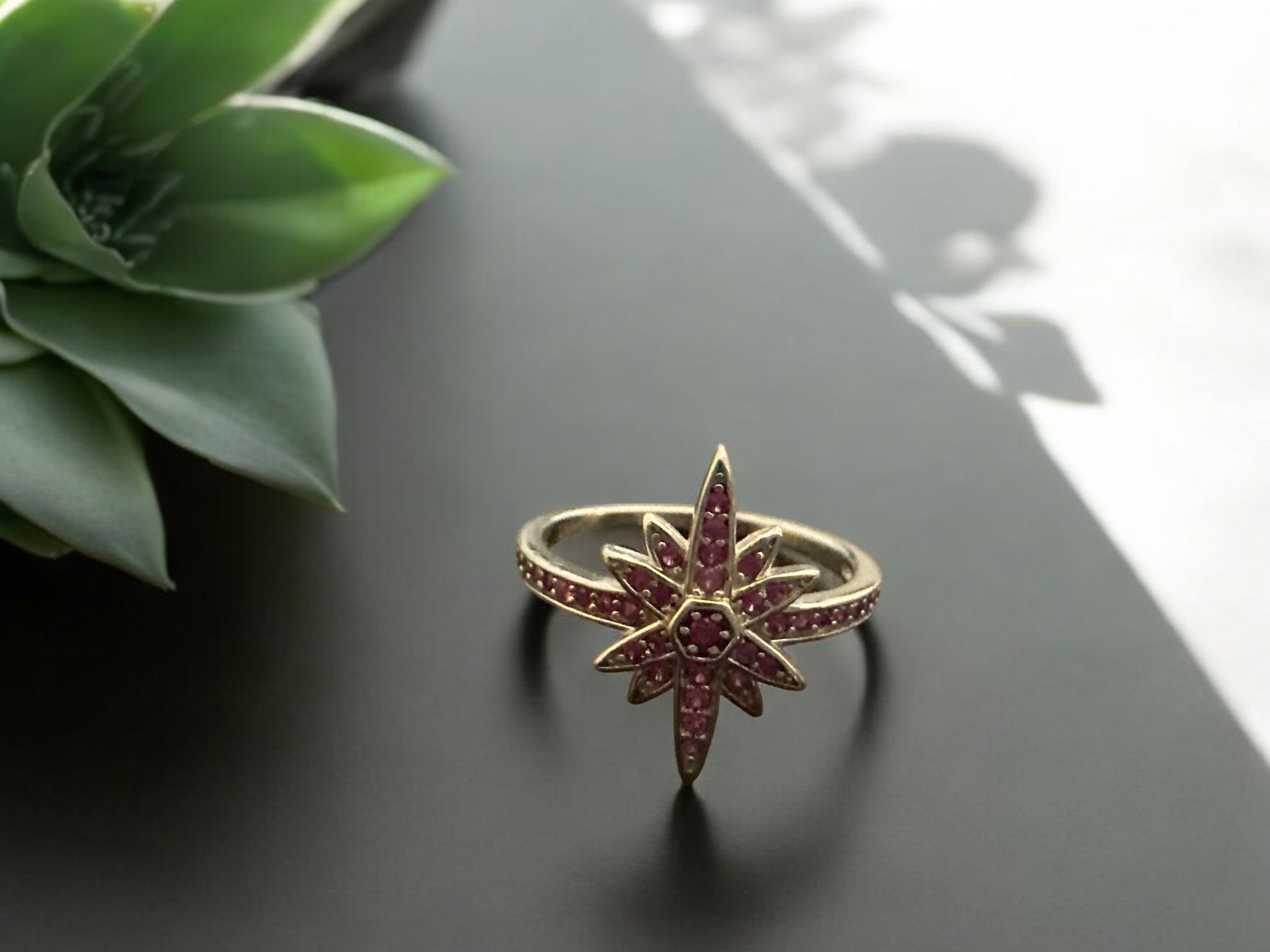 Precious finger ring 92.5 Silver ruby with premium CZ